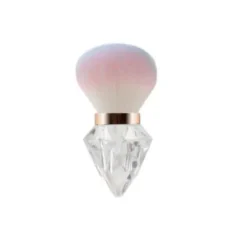 Cone Design Dust Brush - 1