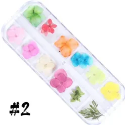 Dry Flower set - 2