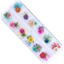 Dry Flower set - 3