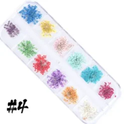 Dry Flower set - 4