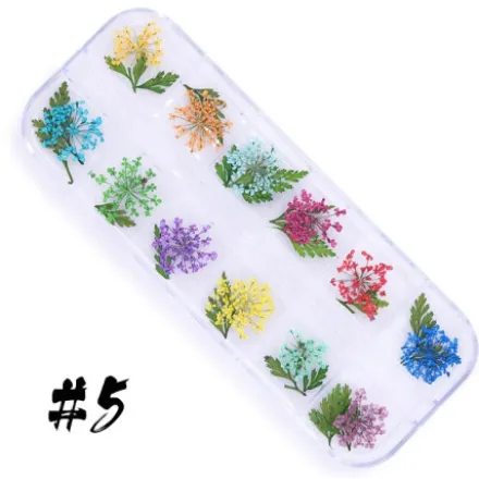 Dry Flower set - 5