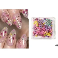 1 - Dry Nail Flower Fragments