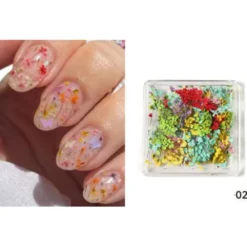 2 - Dry Nail Flower Fragments