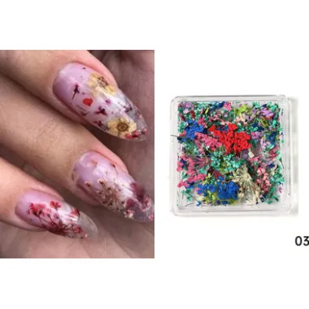 3 - Dry Nail Flower Fragments