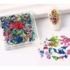 3 - Dry Nail Flower Fragments