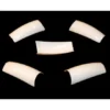 European White Tips 100 in Box