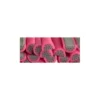Fimo 041 - dragon fruit