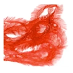 Long Nail Art Feather - Red