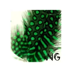 Nail Art Feather Green