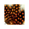 Nail Art Feather Orange