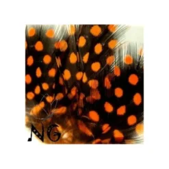 Nail Art Feather Orange