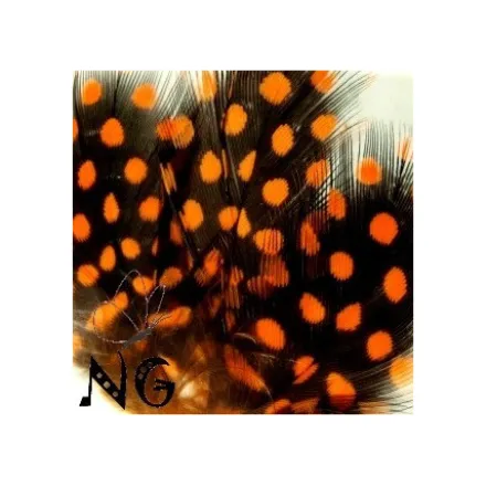 Nail Art Feather Orange