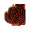 Nail Art Feather Red