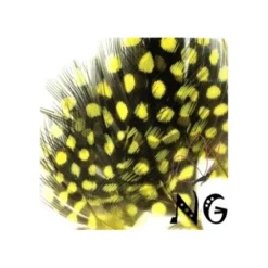 Nail Art Feather Yellow
