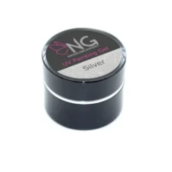 Painting Gel - Silver 5 gr.
